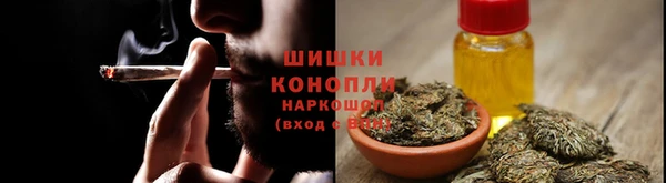 ГАЛЛЮЦИНОГЕННЫЕ ГРИБЫ Белоозёрский
