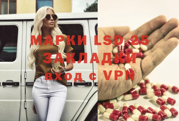 ГАЛЛЮЦИНОГЕННЫЕ ГРИБЫ Белоозёрский