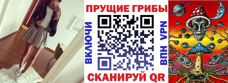 купить закладку  Вятские Поляны  Галлюциногенные грибы ЛСД 
