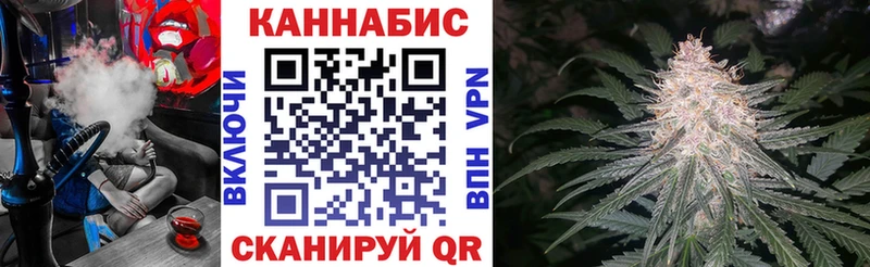 наркошоп  Вятские Поляны  Каннабис тримм 